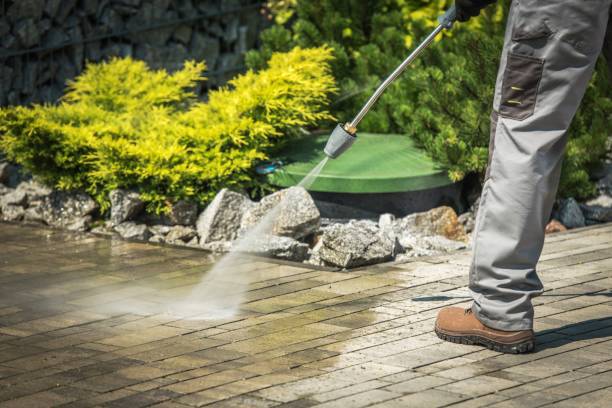 Best Spring Cleaning  in Ely, MN